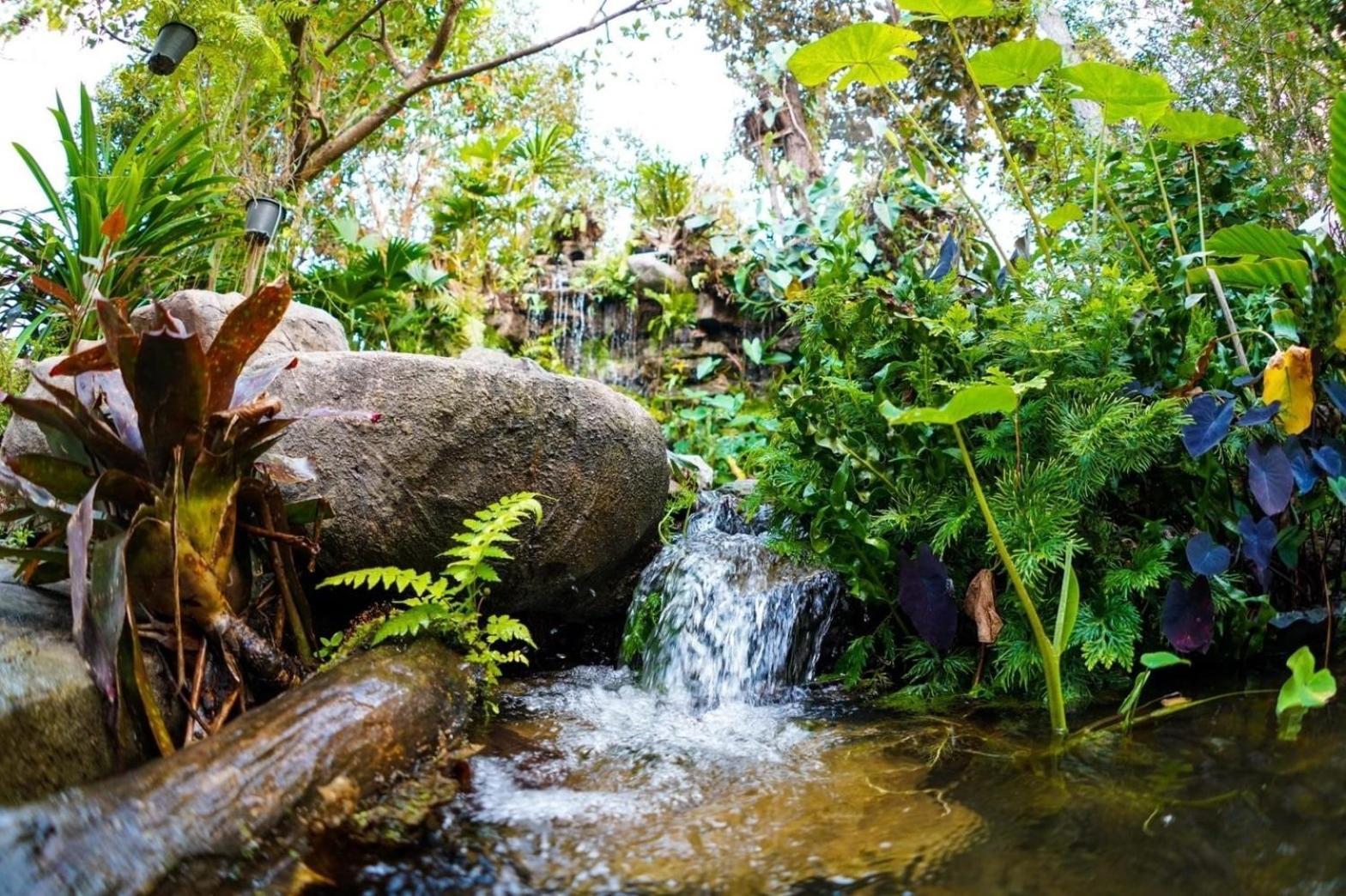 Baan Pingkan Wellness Resort San Kamphaeng Eksteriør billede